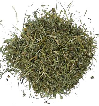 1 Lb Horsetail Shavegrass Cut Wildcrafted