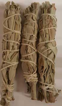 White Sage Smudge Sticks 3pk - 3.5"