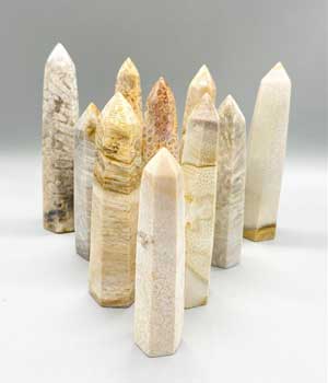 1 Kg Fossil Coral Obelisk