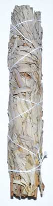 Large 9" White Sage Smudge Stick – Purifying