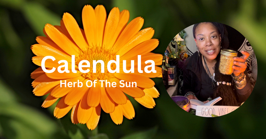 Dried Calendula, Herb Of The ☀️ Sun