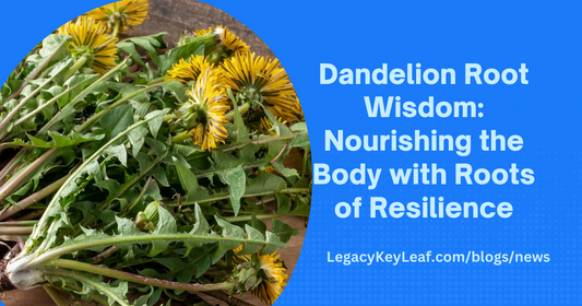 Dandelion Root Wisdom: Nourishing the Body with Roots of Resilience