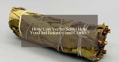 How Can Yerba Santa Help You Find Balance and Clarity?