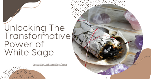 Unlocking The Transformative Power of White Sage