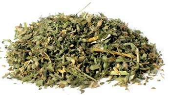 Catnip Cut 1oz  (Nepeta Cataria)