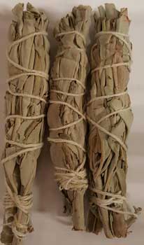 White Sage Smudge Sticks 3pk 3 1/2"