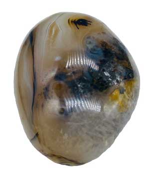 Dendritic Agate Palm Stone