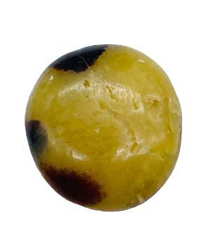 Jasper Septarian Palm Stone