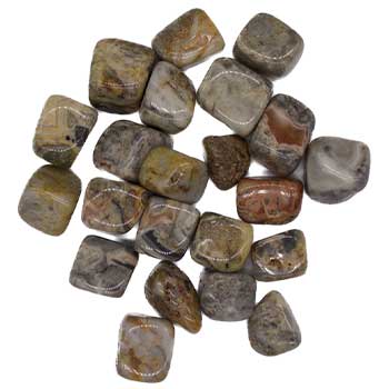 1 Lb Crazy Lace Agate Tumbled Stones
