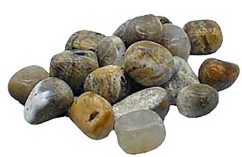 1 Lb Tumbled Stones: Dendritic Agate