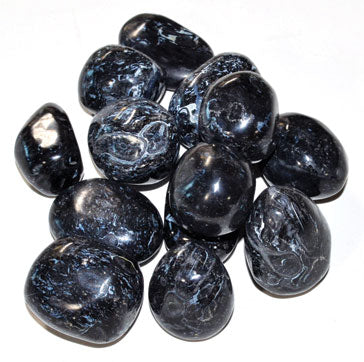 1 Lb Black Fossil Tumbled Stones