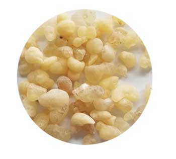 Frankincense Siftings Resin Incense 1/3oz