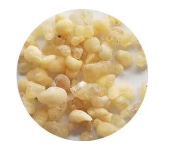 Frankincense Sifted Resin Incense 1.5 Oz