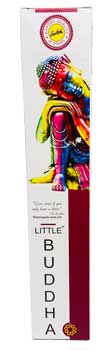 Buddha Incense Stick 15 in Pack