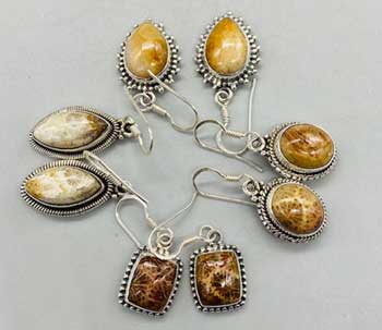 Fossil Coral Dangle Earrings
