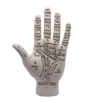 Palmistry Hand 9 1/2"