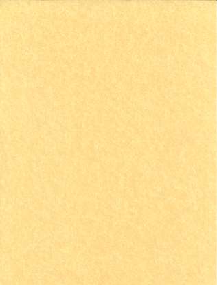 Light Parchment Paper 5 Pack (8 1/2" X 11")