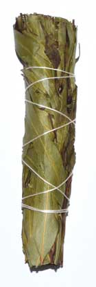 Eucalyptus Citridora Smudge Stick 4"