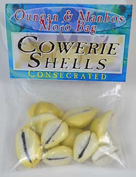 Cowrie Shells for Spiritual Growth & Prosperity